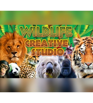 Wildlife Creative Studio Steam Key GLOBAL